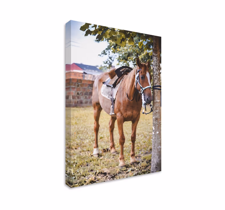 Quadro de cavalos Cavalo debaixo de uma árvore - TenStickers