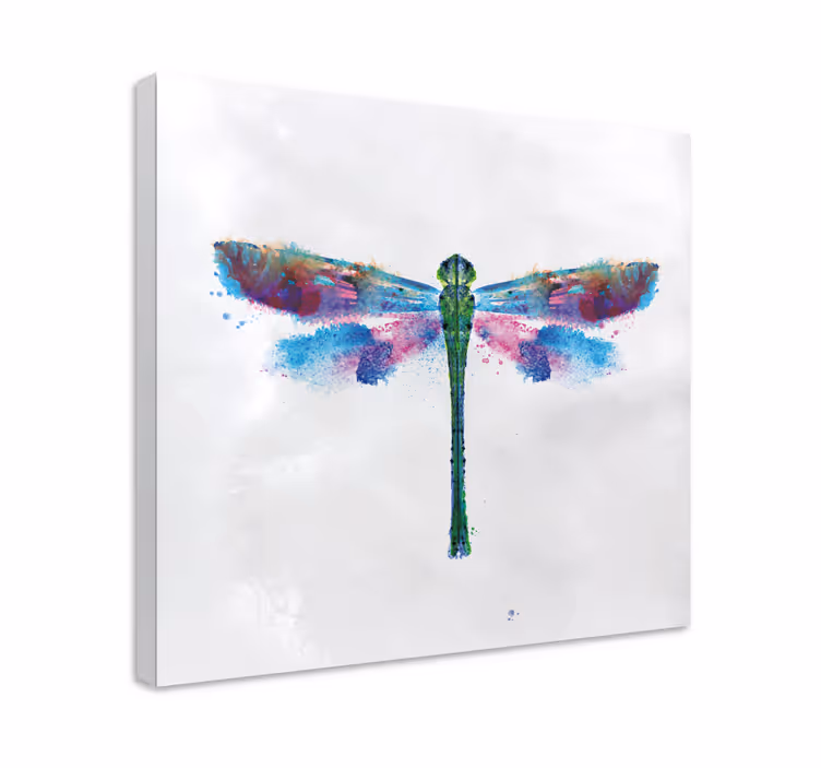 Quadro de libélulas Fundo branco com - TenStickers