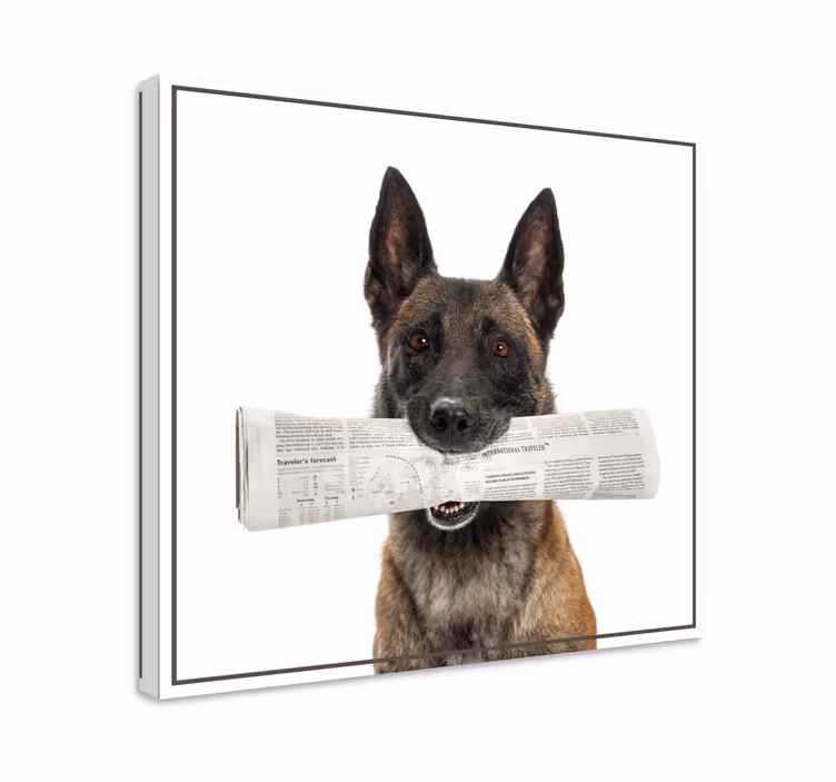 Quadro de cães cão com jornal - TenStickers
