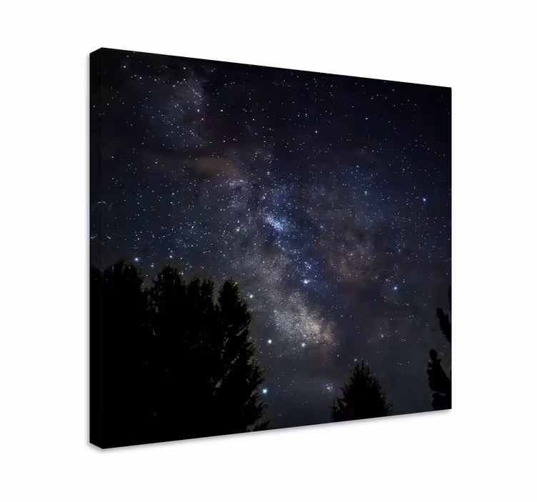 Quadro de paisage Céu estrelado à noite - TenStickers