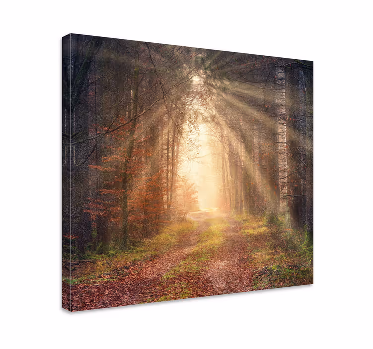 Quadro de paisage Caminhando em direção à luz - TenStickers