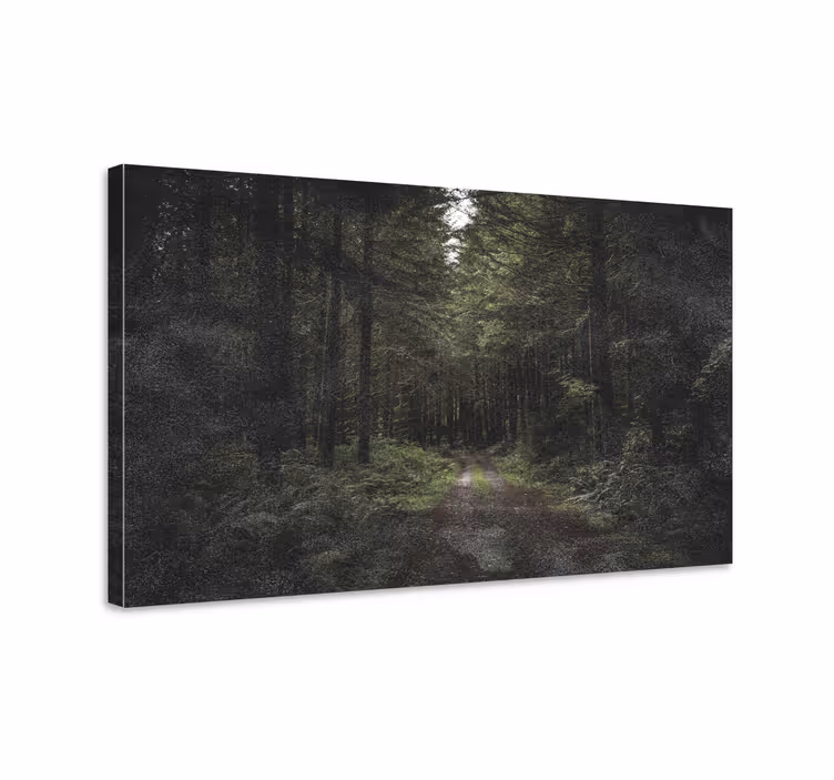 Quadro de paisage Caminhando por uma floresta escura - TenStickers
