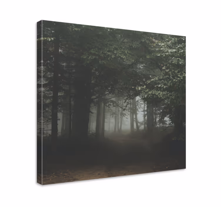 Quadro de paisage Floresta estranha na polônia - TenStickers
