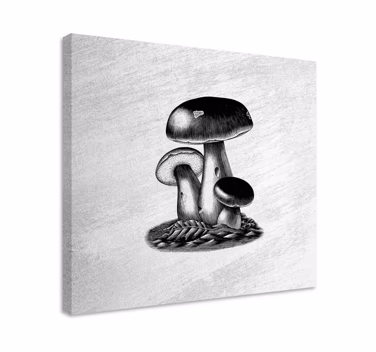 Quadro para cozinha Ilustração de gravura antiga de cogumelos - TenStickers