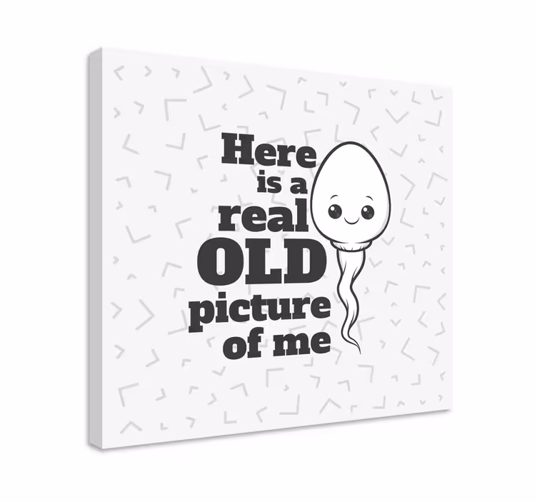 Quadro vintage memória engraçada antiga - TenStickers