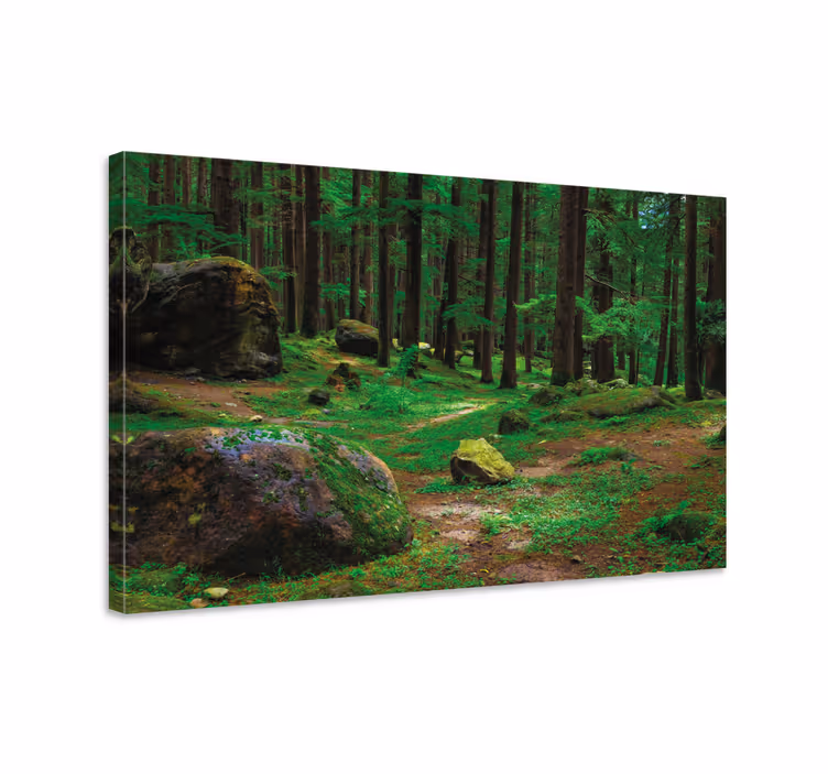 Quadro de paisage Floresta verde com árvores - TenStickers