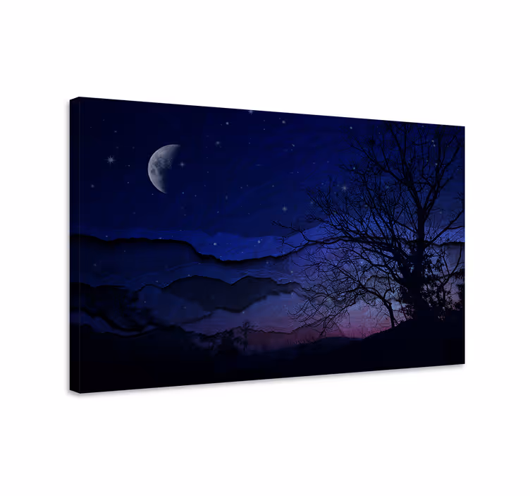 Quadro de paisage Paisagem noturna original com lua - TenStickers