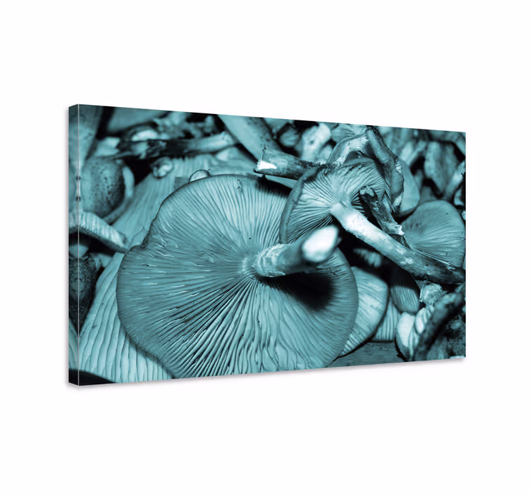 Quadro de arte Guelras de cogumelos ostra azuis - TenStickers