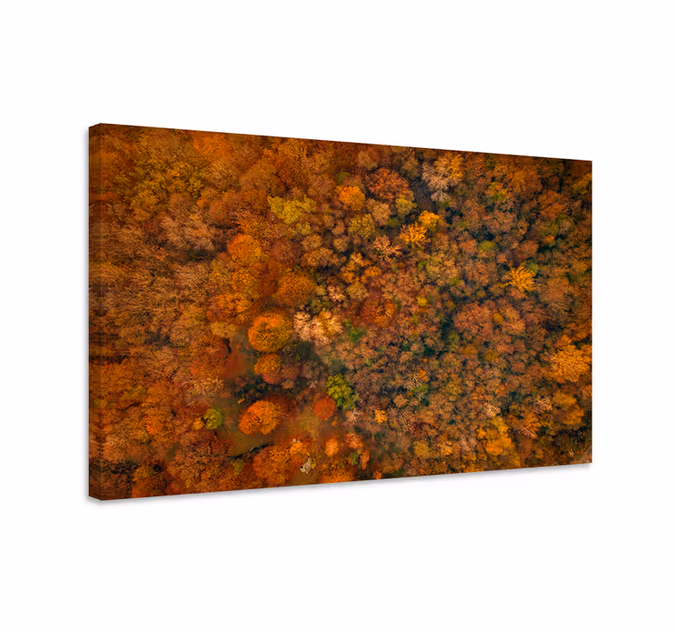 Quadro de paisage Belas árvores com cores estéticas - TenStickers