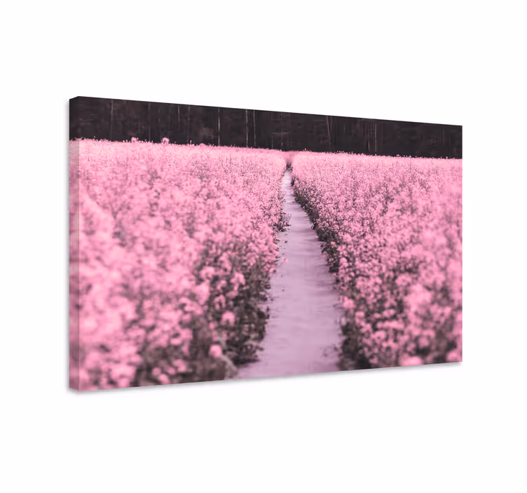 Quadro de flores Prado elegante de flores rosa - TenStickers