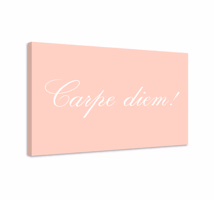 Quadro com letras aproveite o dia motivação - TenStickers
