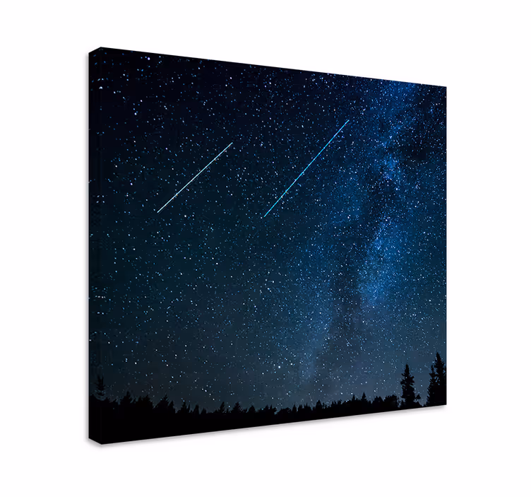 Quadro de paisage Bela paisagem estrela cadente - TenStickers