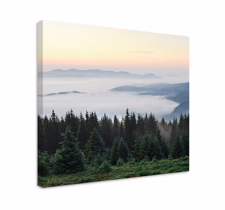 Quadro de paisage Floresta "natureza" com vista do sol - TenStickers