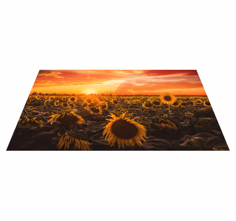 Campo de girassóis, nascer do sol tapete floral - TenStickers