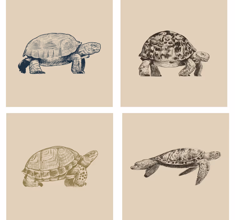 Papel de parede vintage tartarugas fundo bege - TenStickers