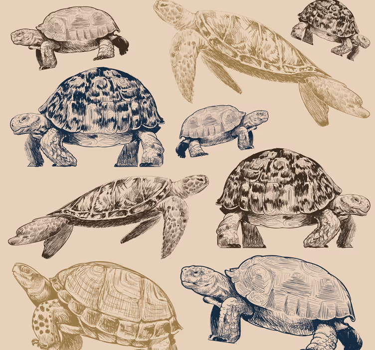papel parede animais Fundo bege de tartarugas - TenStickers