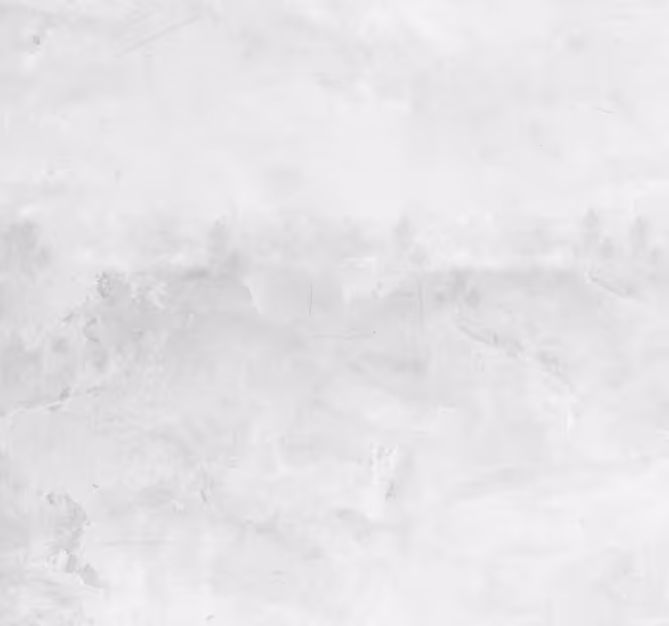 papel de parede tijolo Velha parede branca - TenStickers