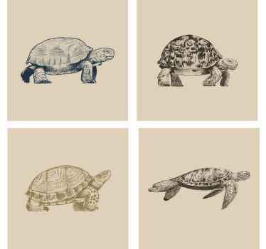 Bases para copos vintage Desenhos de tartaruga - TenStickers
