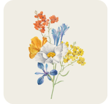 Bases para copos vintage arranjo floral colorido - TenStickers