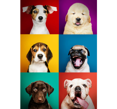 produtode impressão de pôster de filhote de cão - TenStickers