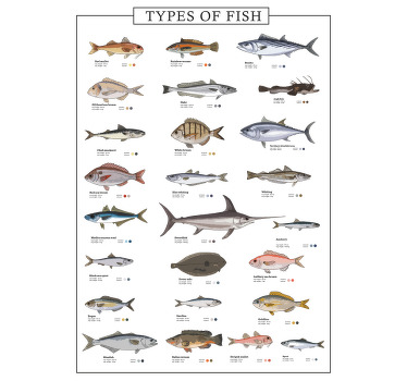 Impressão de cartaz de peixes diferentes - TenStickers