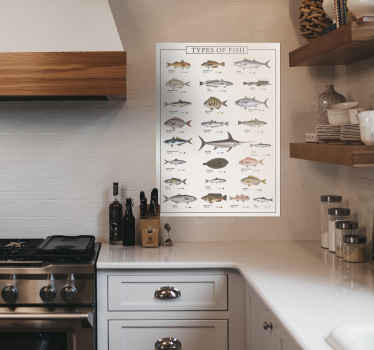 Impressão de cartaz de peixes diferentes - TenStickers