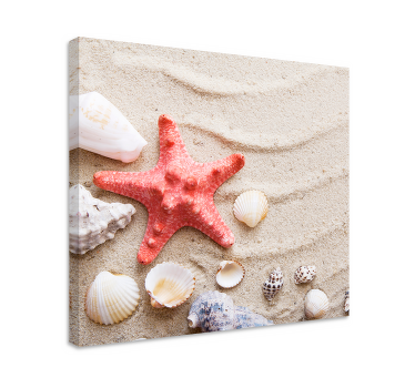 Quadro animais Estrela do mar e conchas na areia - TenStickers