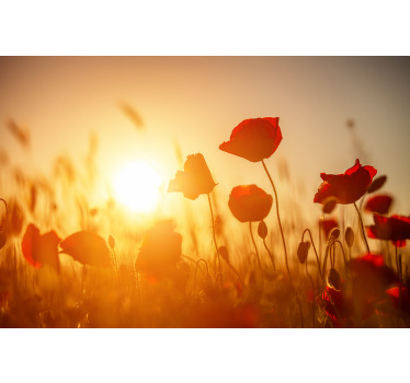 Flores vermelhas na tela floral do sol com um padrão de flores vermelhas com um belo pôr do sol atrás. Vamos enviá-lo à sua porta.