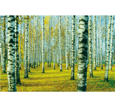 Deixe-se transportar para um fresco bosque de bétulas com esta magnífica tela de parede para sala de estar e deixe-se cativar pela sua beleza.