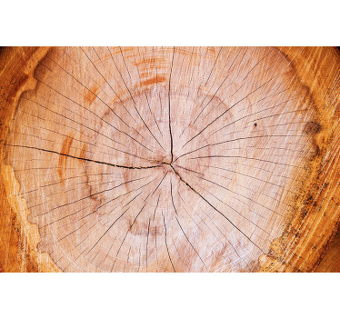 Lona de arte da parede de árvore de tronco de árvore quebrada. Tronco detalhado que é cortado e quebrado no meio. Decorar. Obtenha remessa imediata!