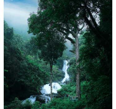 Quando você olhar para este rio cercado por Vinil decorativode paisagem de florestas, você vai imaginar como ele ficaria bonito em sua casa.