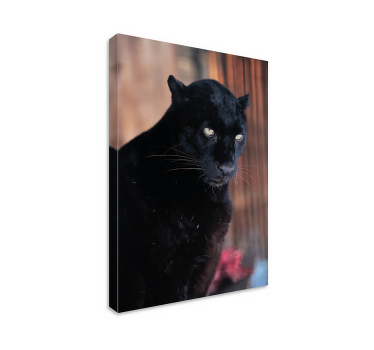 Quadro 3D Perseguição de leopardo - TenStickers