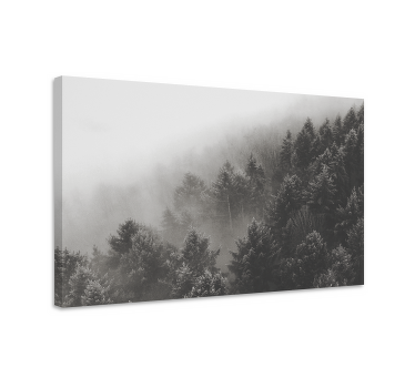 Quadro 3D Floresta com pinheiros brancos - TenStickers