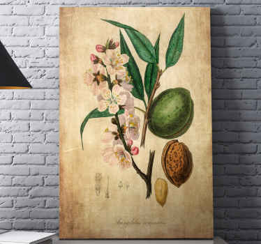 Vinil decorativoem tela de amêndoa para decorar sua casa e qualquer outro espaço de sua escolha. Esta arte da lona da árvore da textura do vintage é original e duradouro.