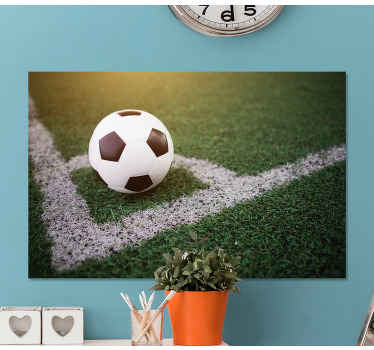 Quadro juvenil Lindo futebol na grama - TenStickers