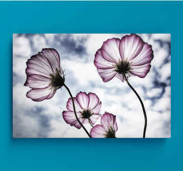 Lona de flores com a ilustração de um elegante produtode flores roxas do cosmos, é perfeita para decorar as paredes da sua sala de estar ou do seu quarto.