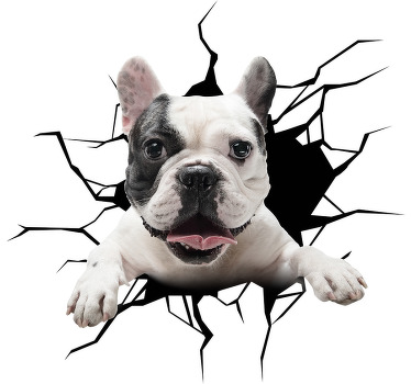Autocolante com cães e gatos cachorro de vidro - TenStickers