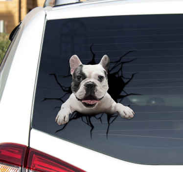 Autocolante com cães e gatos cachorro de vidro - TenStickers