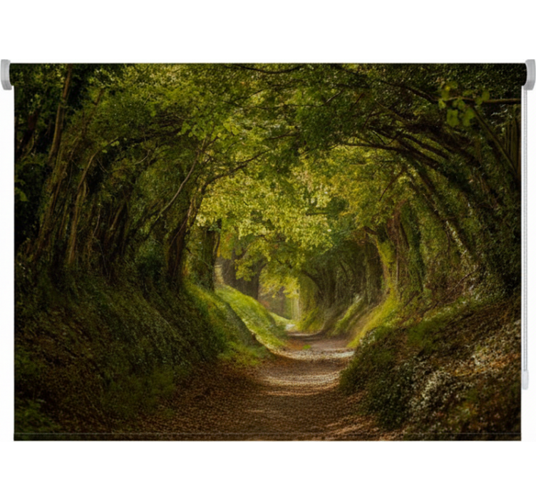 Estores de rolo de árvores caminho verde inglês - TenStickers