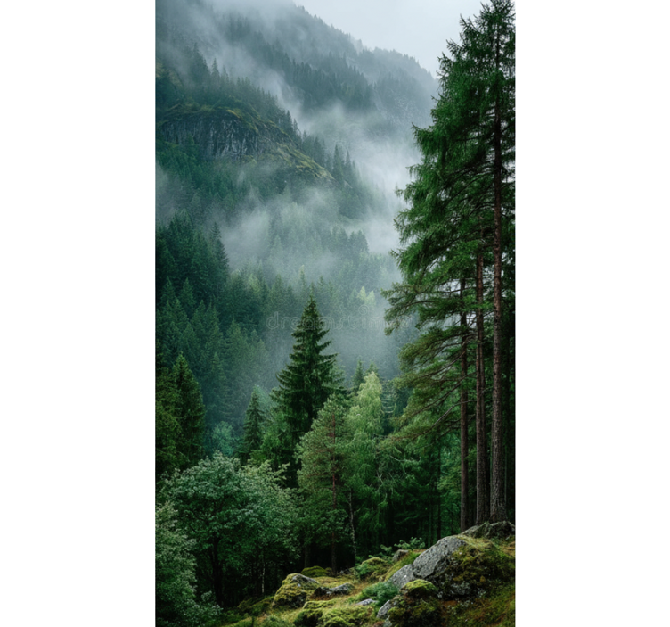 Estores de rolo de árvores a escolha melancólica - TenStickers