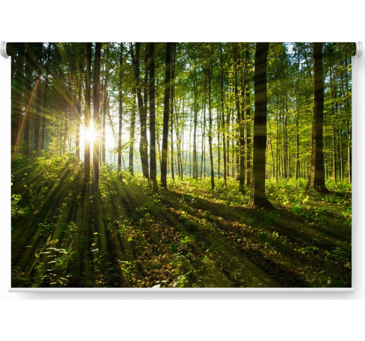 Estores de rolo de árvores florestas do sol dourado - TenStickers