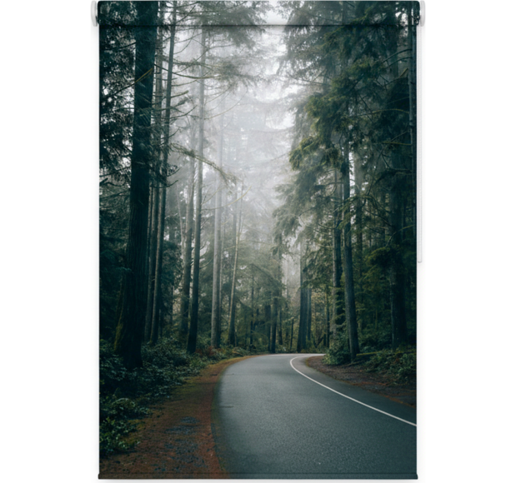 Estores de rolo de árvores estrada do pinheiro nebuloso - TenStickers