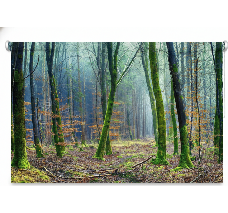 Estores de rolo de árvores floresta nebulosa japandi - TenStickers