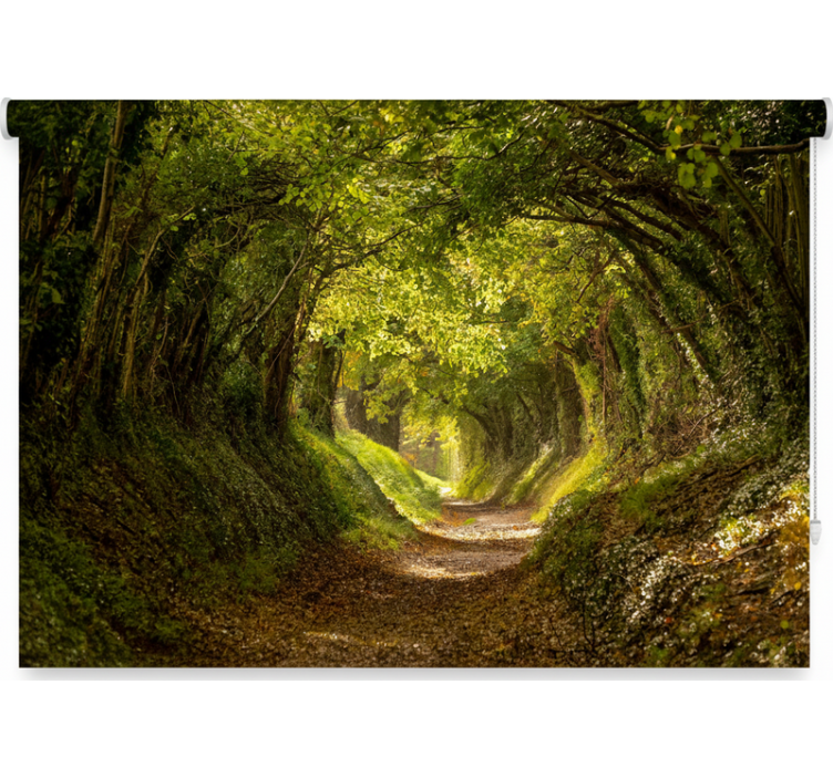 Estores de rolo de árvores mural florestal imersivo - TenStickers