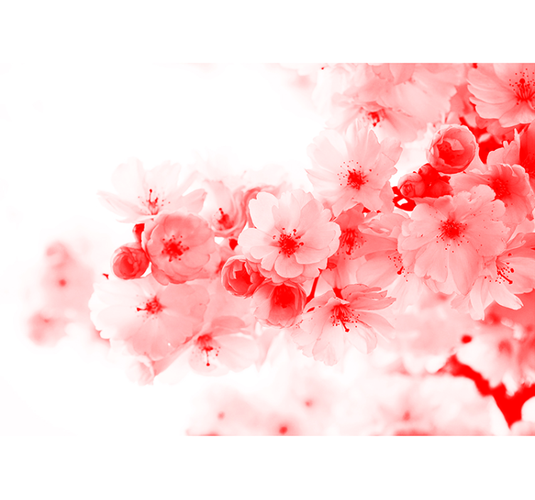 Estore de rolo branco papel de parede - arbusto vermelho - TenStickers