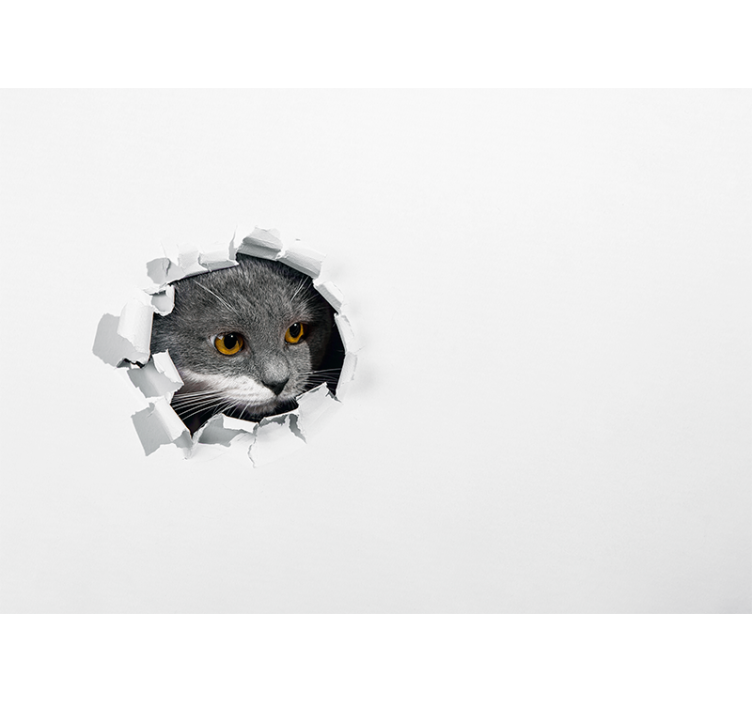 Estore de rolo branco gato fofo - TenStickers