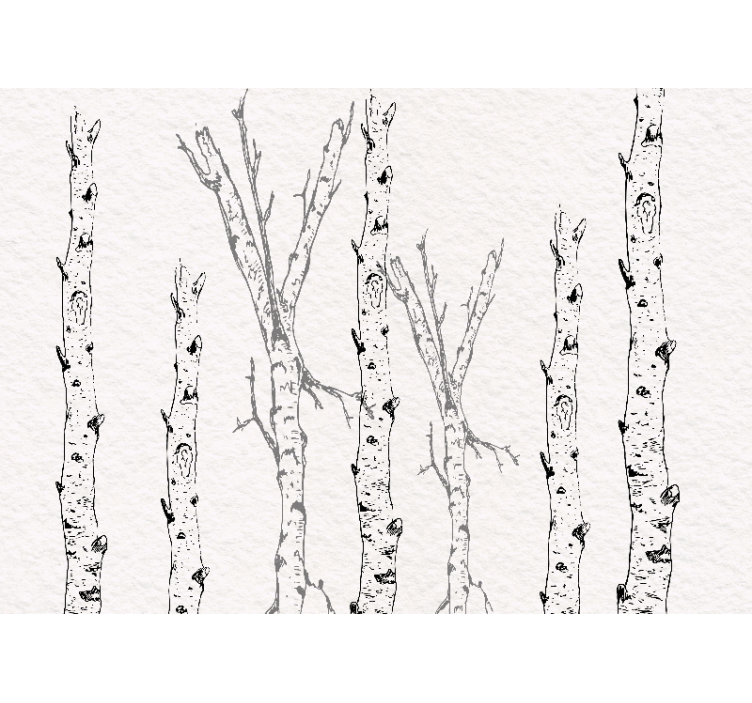 Estore de rolo branco caules de bétula - TenStickers