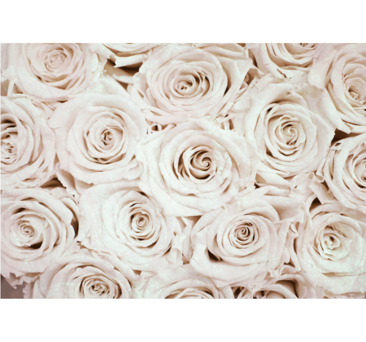 Estore de rolo branco com design elegante de flores rosas - TenStickers