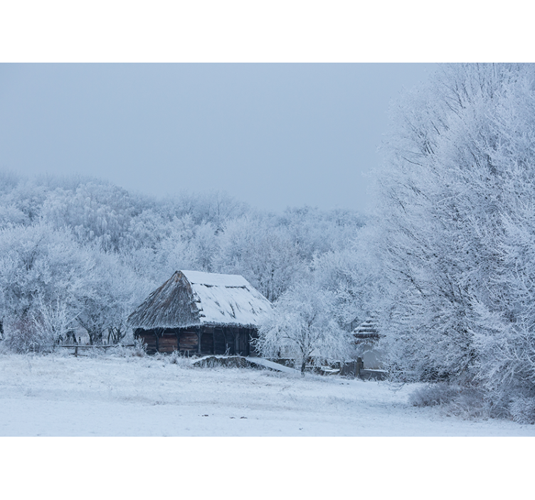 Estore de rolo branco lar de pátio nevado - TenStickers