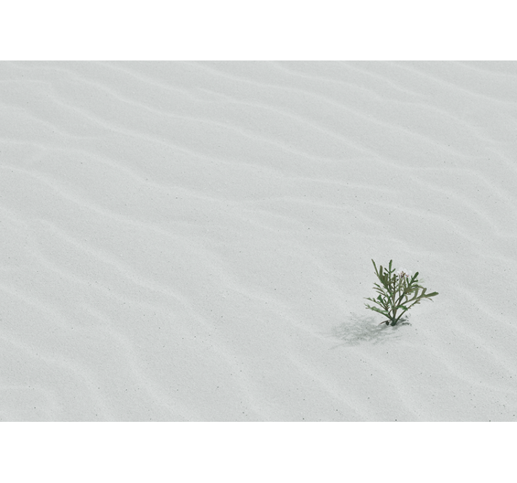 Estore de rolo branco areia do deserto branco - TenStickers